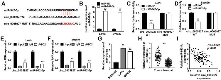 https://cdn.ncbi.nlm.nih.gov/pmc/blobs/8bd3/7959203/df5b2b220a68/CMAR-13-2295-g0004.jpg