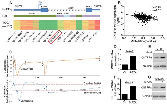 https://cdn.ncbi.nlm.nih.gov/pmc/blobs/8bd8/5539284/0c523765847f/41598_2017_7124_Fig2_HTML.jpg