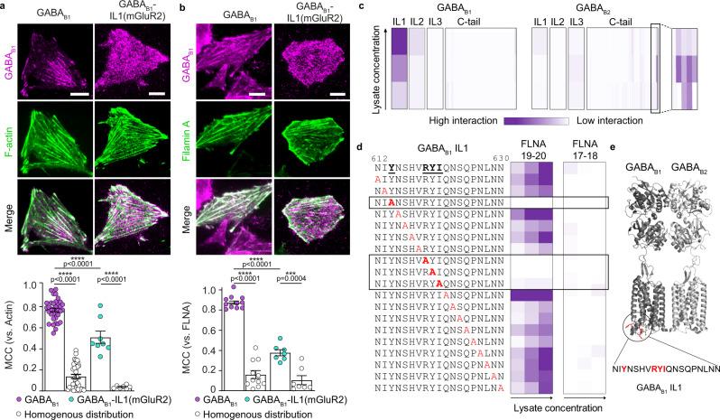 https://cdn.ncbi.nlm.nih.gov/pmc/blobs/8bda/9810740/0ae2d41fe098/41467_2022_35708_Fig3_HTML.jpg