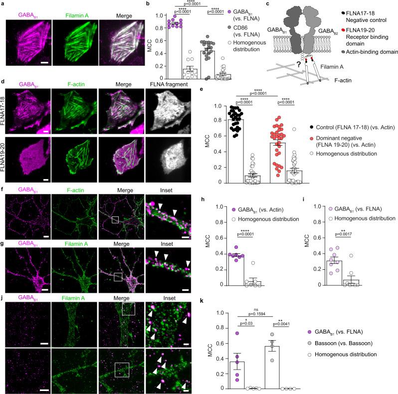 https://cdn.ncbi.nlm.nih.gov/pmc/blobs/8bda/9810740/0c3b5d1ee90b/41467_2022_35708_Fig2_HTML.jpg