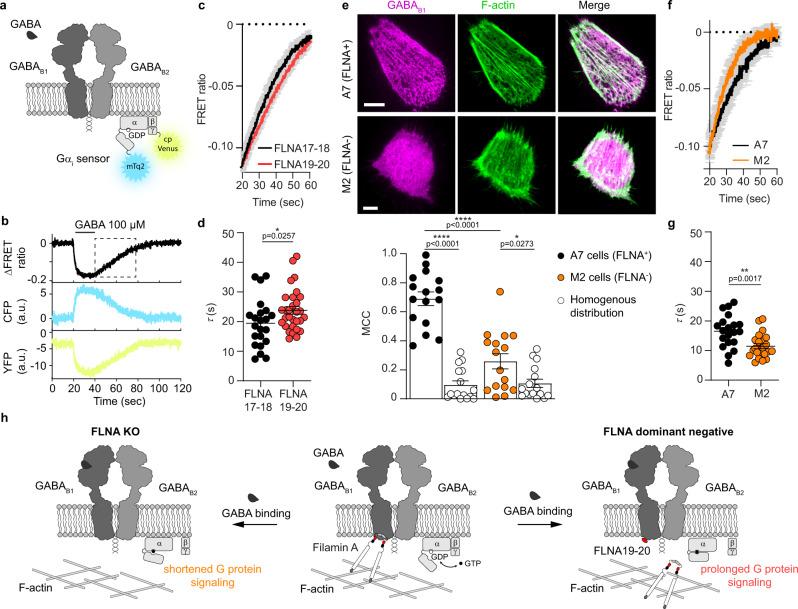 https://cdn.ncbi.nlm.nih.gov/pmc/blobs/8bda/9810740/4f882cb47786/41467_2022_35708_Fig6_HTML.jpg