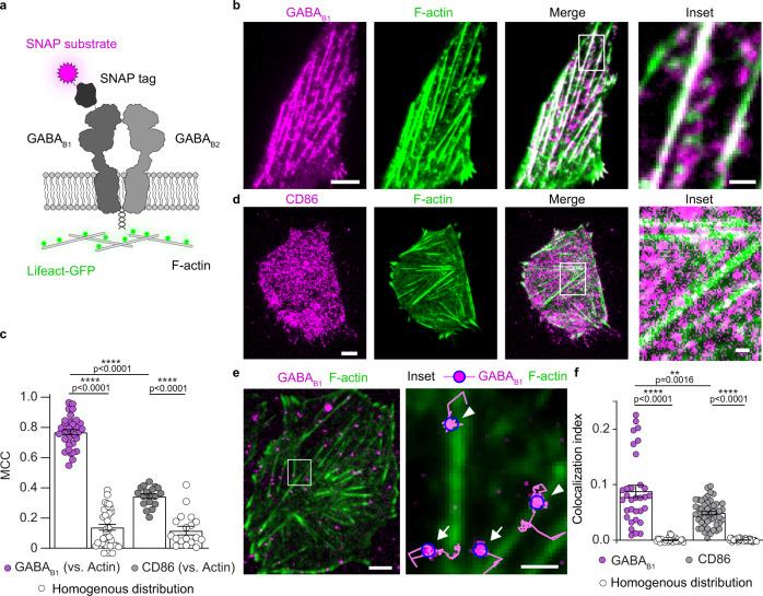 https://cdn.ncbi.nlm.nih.gov/pmc/blobs/8bda/9810740/6d3d0a0b95c9/41467_2022_35708_Fig1_HTML.jpg
