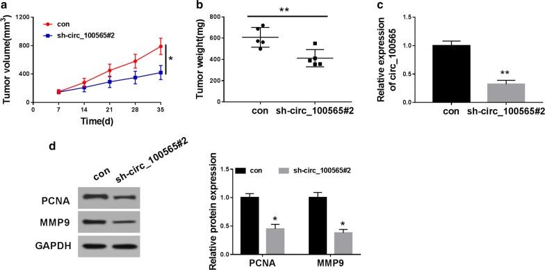 https://cdn.ncbi.nlm.nih.gov/pmc/blobs/8bdc/7216320/7563dc330428/12935_2020_1241_Fig3_HTML.jpg