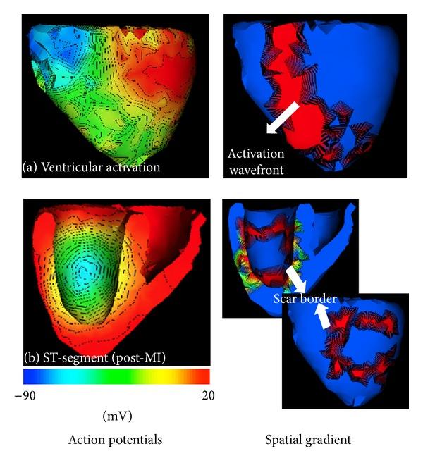 https://cdn.ncbi.nlm.nih.gov/pmc/blobs/8bdd/3852818/25cac0680925/CMMM2013-276478.001.jpg