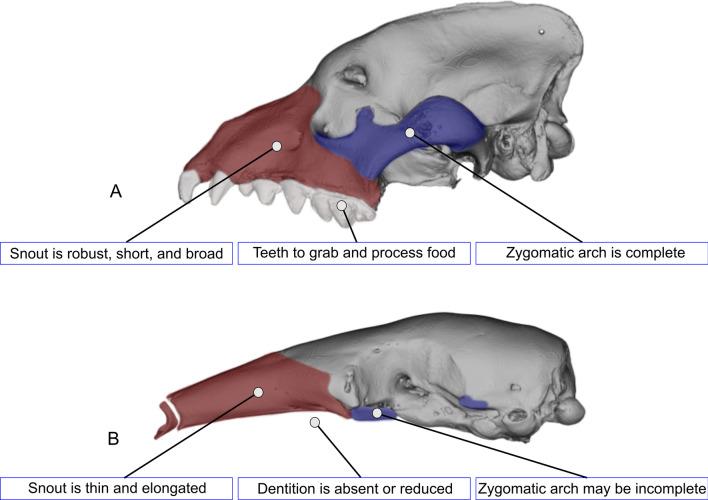 https://cdn.ncbi.nlm.nih.gov/pmc/blobs/8bdd/9248141/b58f9bb95915/12862_2022_2030_Fig2_HTML.jpg