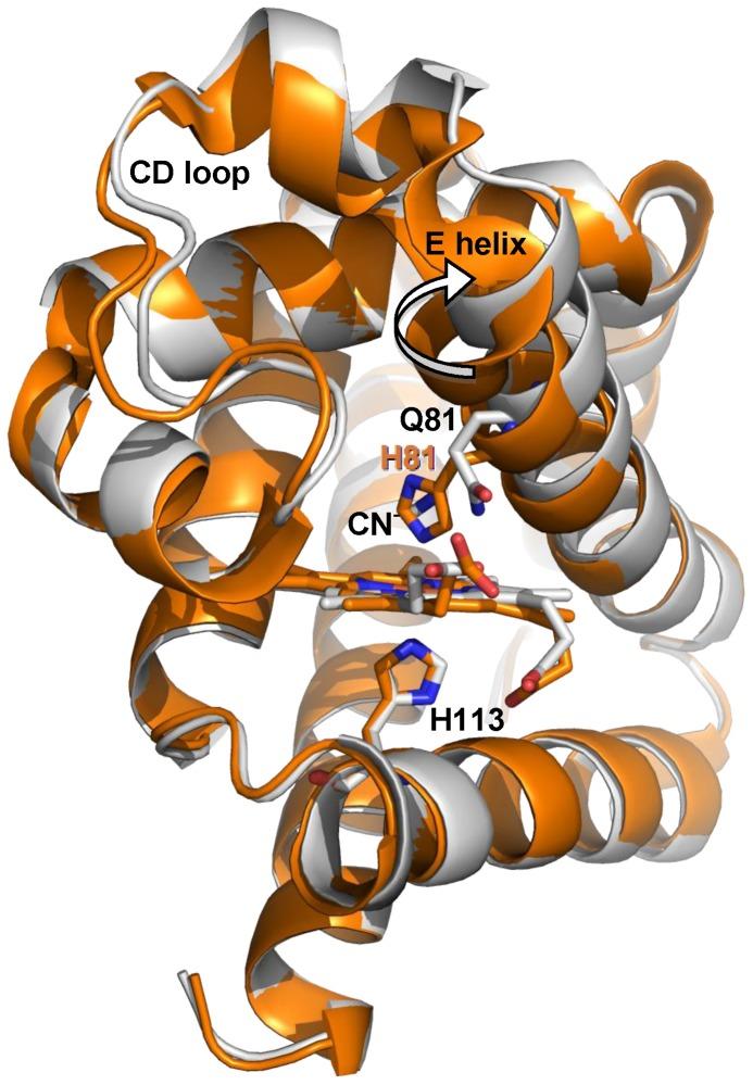 https://cdn.ncbi.nlm.nih.gov/pmc/blobs/8bde/3537629/5d55ef54482e/pone.0049770.g004.jpg