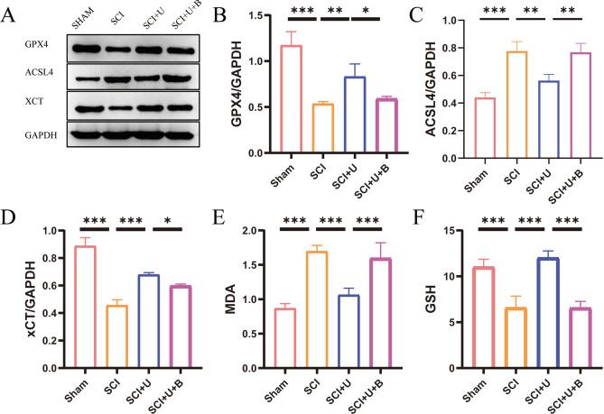 https://cdn.ncbi.nlm.nih.gov/pmc/blobs/8bdf/11364804/2277d739000b/41598_2024_70926_Fig4_HTML.jpg