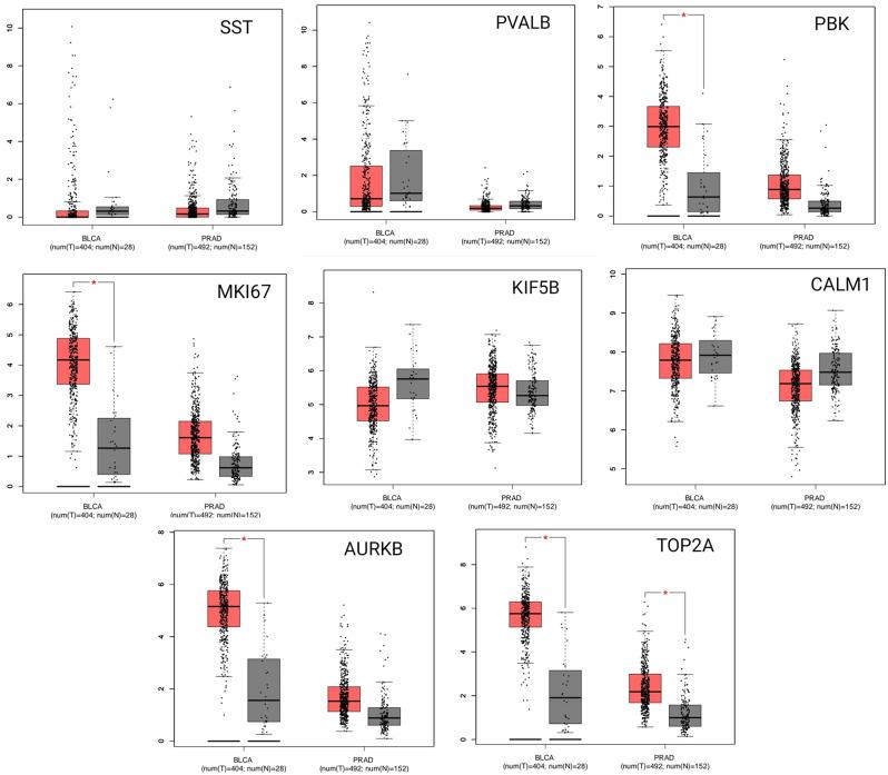 https://cdn.ncbi.nlm.nih.gov/pmc/blobs/8bdf/11995581/4e2980b77a2e/12888_2024_6395_Fig8_HTML.jpg