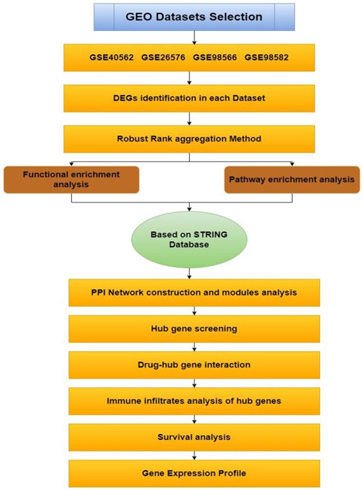 https://cdn.ncbi.nlm.nih.gov/pmc/blobs/8bdf/11995581/69f3105574f7/12888_2024_6395_Fig1_HTML.jpg