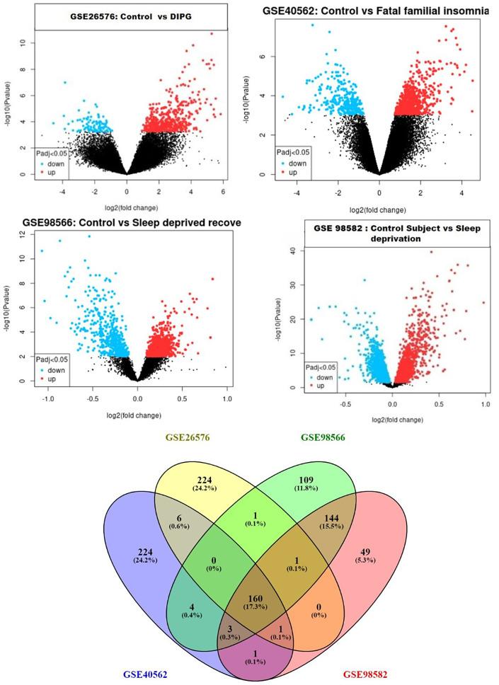 https://cdn.ncbi.nlm.nih.gov/pmc/blobs/8bdf/11995581/7bbbcd85c29b/12888_2024_6395_Fig2_HTML.jpg
