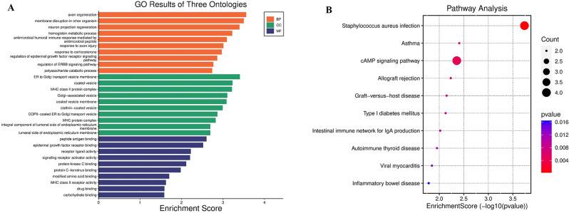 https://cdn.ncbi.nlm.nih.gov/pmc/blobs/8bdf/11995581/adaf8bf8876c/12888_2024_6395_Fig3_HTML.jpg