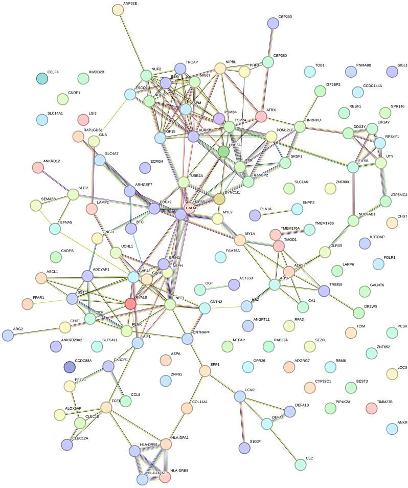 https://cdn.ncbi.nlm.nih.gov/pmc/blobs/8bdf/11995581/f663bbc62d4e/12888_2024_6395_Fig4_HTML.jpg
