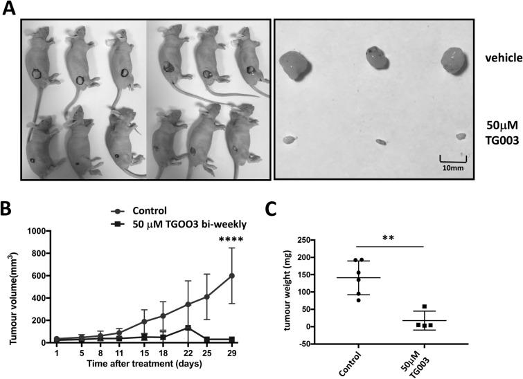 https://cdn.ncbi.nlm.nih.gov/pmc/blobs/8be2/8041776/6da3333f08d2/41598_2021_86908_Fig5_HTML.jpg