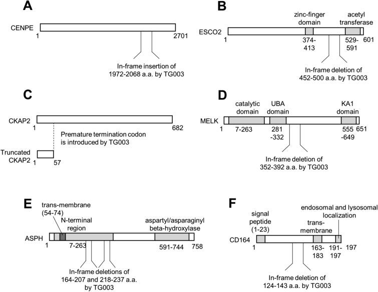https://cdn.ncbi.nlm.nih.gov/pmc/blobs/8be2/8041776/a1d7473c0172/41598_2021_86908_Fig6_HTML.jpg
