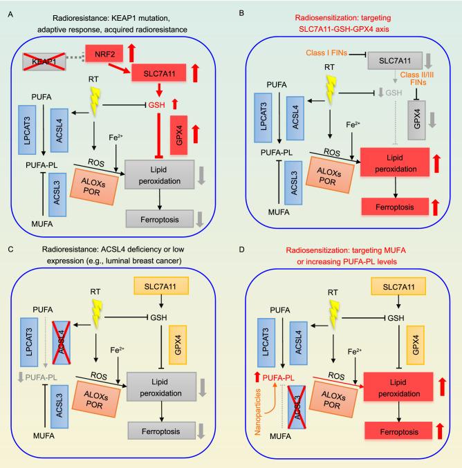 https://cdn.ncbi.nlm.nih.gov/pmc/blobs/8be3/8563889/6c22dd3c1eab/13238_2021_841_Fig4_HTML.jpg
