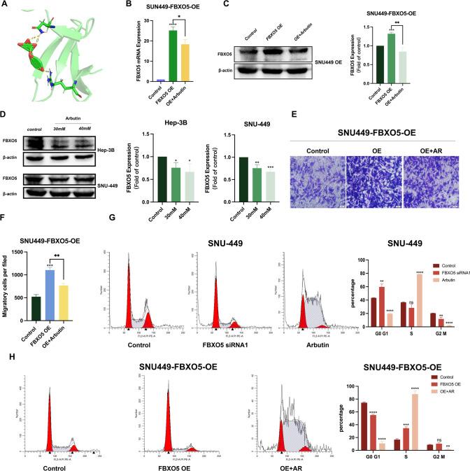 https://cdn.ncbi.nlm.nih.gov/pmc/blobs/8be4/11666847/3aacc81d1d66/12672_2024_1729_Fig6_HTML.jpg