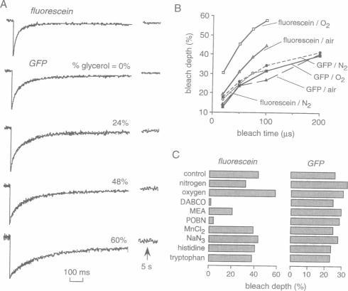 https://cdn.ncbi.nlm.nih.gov/pmc/blobs/8bea/1184383/f8c4f27935b6/biophysj00037-0418-a.jpg