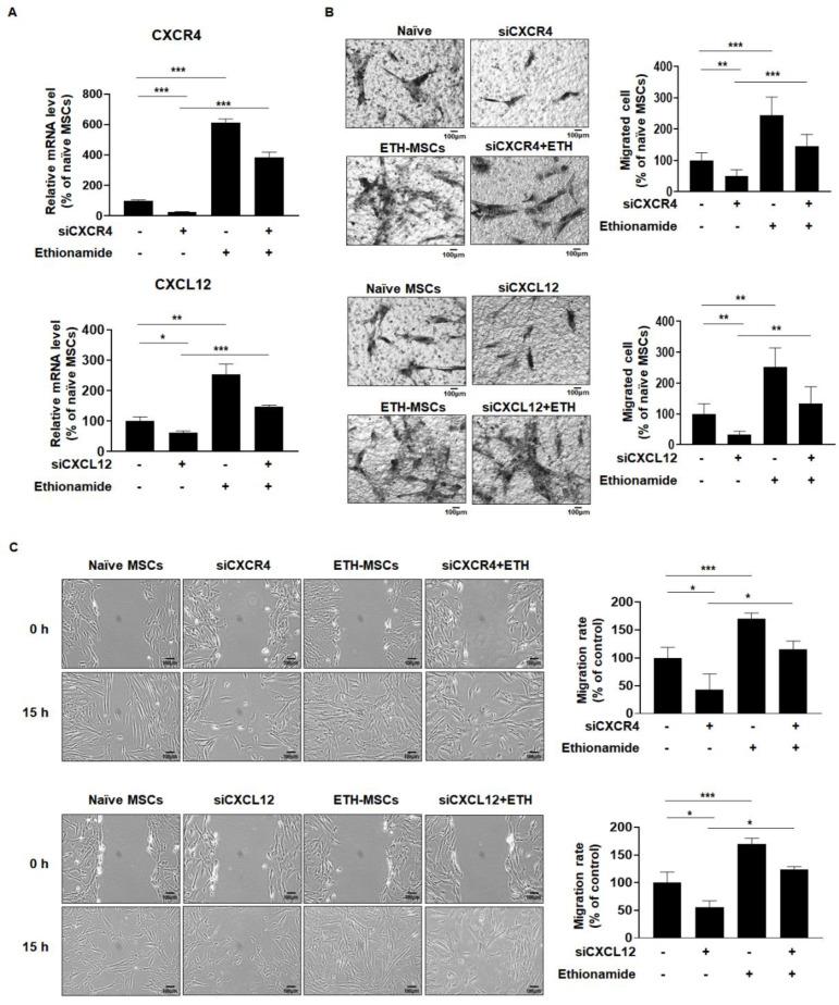 https://cdn.ncbi.nlm.nih.gov/pmc/blobs/8beb/7583833/3ddbeaf845e5/ijms-21-07013-g004.jpg