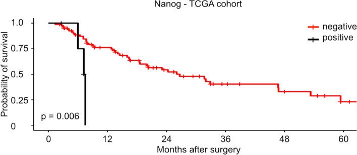 https://cdn.ncbi.nlm.nih.gov/pmc/blobs/8bec/10351130/0727b1227675/12885_2023_11146_Fig3_HTML.jpg