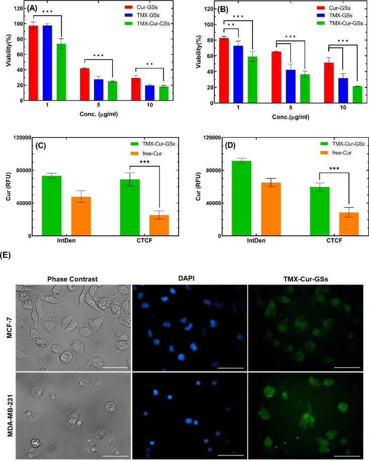 https://cdn.ncbi.nlm.nih.gov/pmc/blobs/8bef/11415995/81112f55278a/12906_2024_4631_Fig3_HTML.jpg