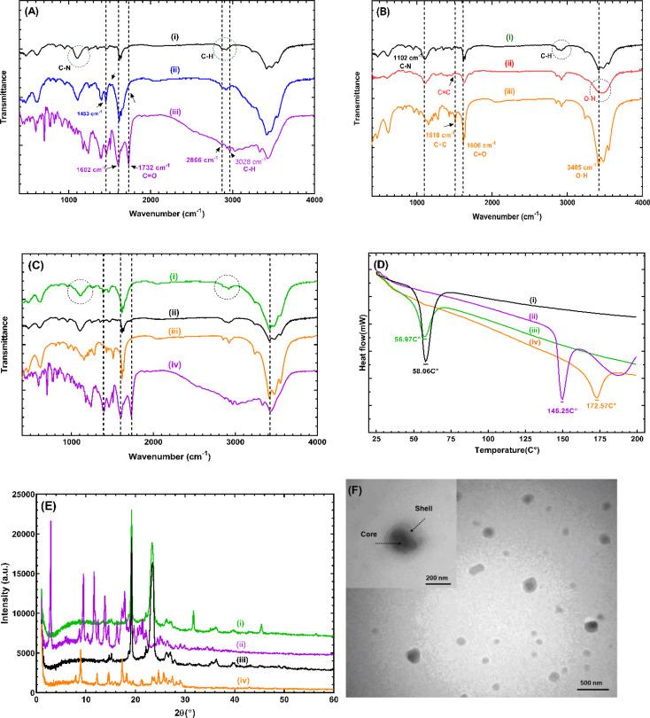 https://cdn.ncbi.nlm.nih.gov/pmc/blobs/8bef/11415995/f9e2a6f1c4f2/12906_2024_4631_Fig1_HTML.jpg