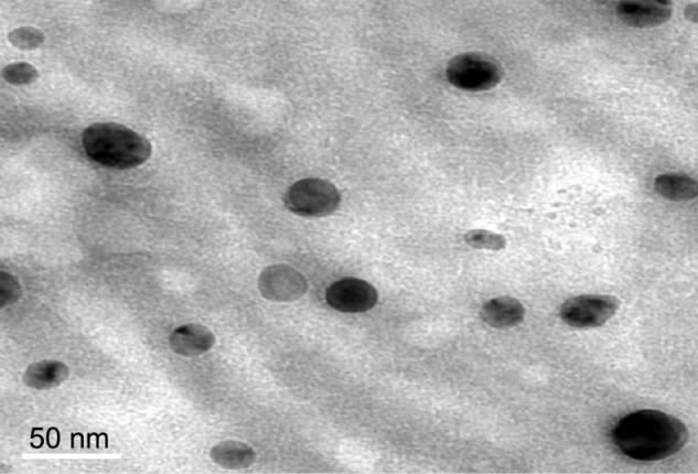 https://cdn.ncbi.nlm.nih.gov/pmc/blobs/8bf1/3862509/99a85751a29b/ijn-8-4677Fig2.jpg
