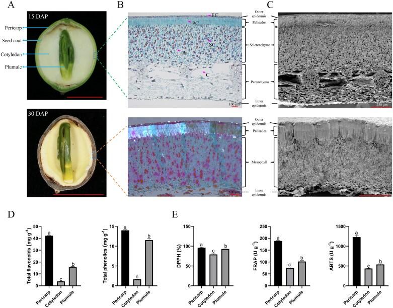 https://cdn.ncbi.nlm.nih.gov/pmc/blobs/8bf3/12351163/6d3fc50aec9b/erae432_fig1.jpg