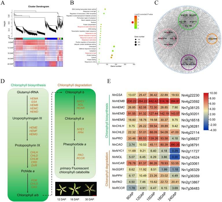 https://cdn.ncbi.nlm.nih.gov/pmc/blobs/8bf3/12351163/c4316bbf5df7/erae432_fig5.jpg
