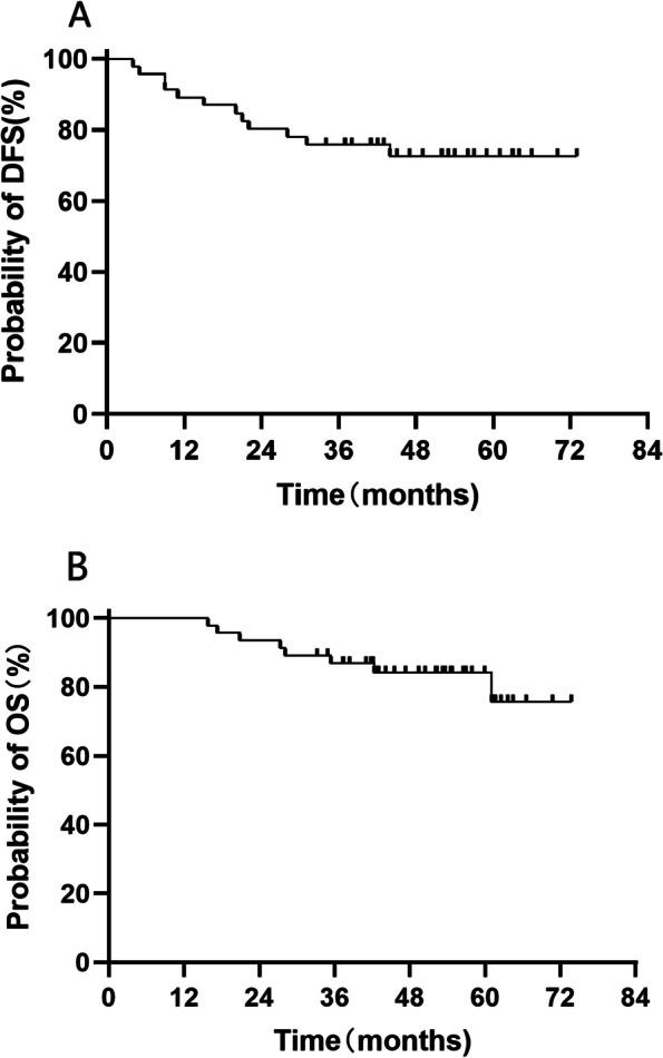 https://cdn.ncbi.nlm.nih.gov/pmc/blobs/8bf5/10294487/9466470f8427/12885_2023_11103_Fig2_HTML.jpg