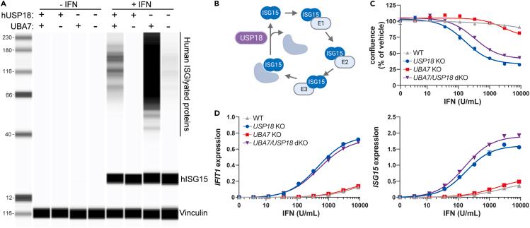 https://cdn.ncbi.nlm.nih.gov/pmc/blobs/8bf6/11022047/0dd264f7a99e/gr5.jpg