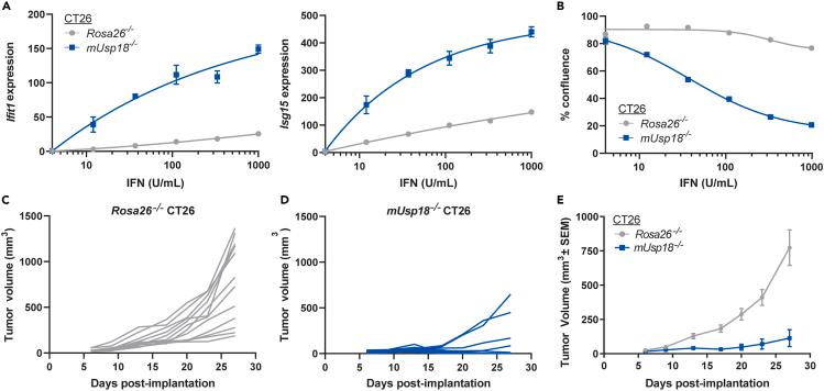 https://cdn.ncbi.nlm.nih.gov/pmc/blobs/8bf6/11022047/453b6463348e/gr1.jpg