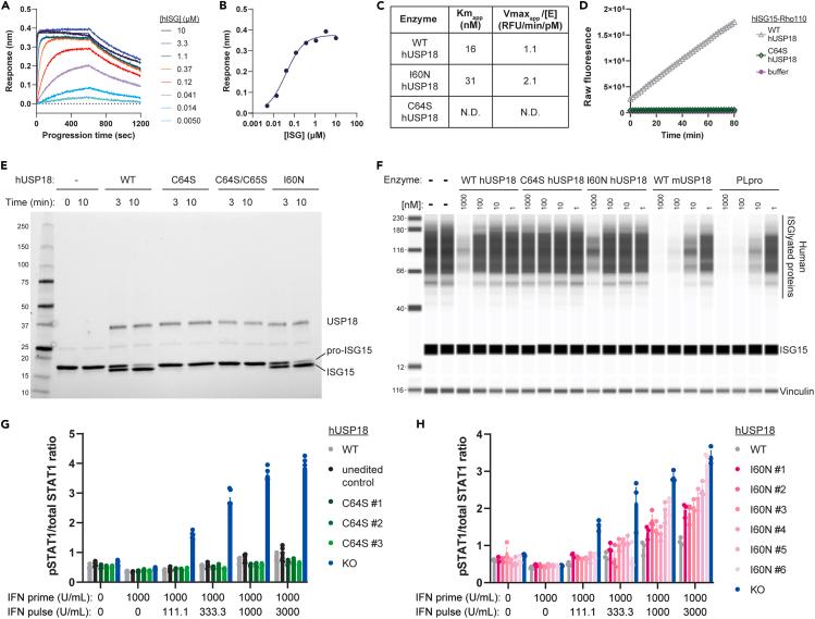 https://cdn.ncbi.nlm.nih.gov/pmc/blobs/8bf6/11022047/5188831d5c9c/gr3.jpg