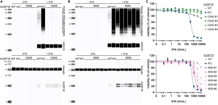 https://cdn.ncbi.nlm.nih.gov/pmc/blobs/8bf6/11022047/59dc5e3b0203/gr4.jpg