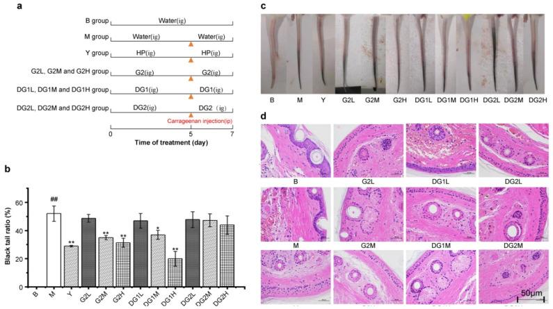 https://cdn.ncbi.nlm.nih.gov/pmc/blobs/8bf6/8779706/46a00f912dc1/marinedrugs-20-00050-g002.jpg