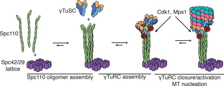 https://cdn.ncbi.nlm.nih.gov/pmc/blobs/8bf8/4945142/5d10a3ac0b46/2245fig7.jpg
