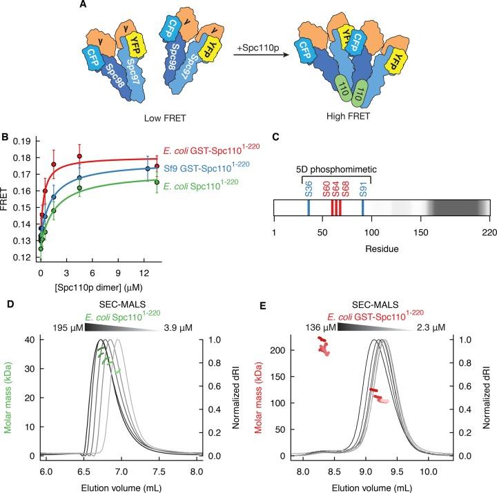 https://cdn.ncbi.nlm.nih.gov/pmc/blobs/8bf8/4945142/9d5523329119/2245fig1.jpg