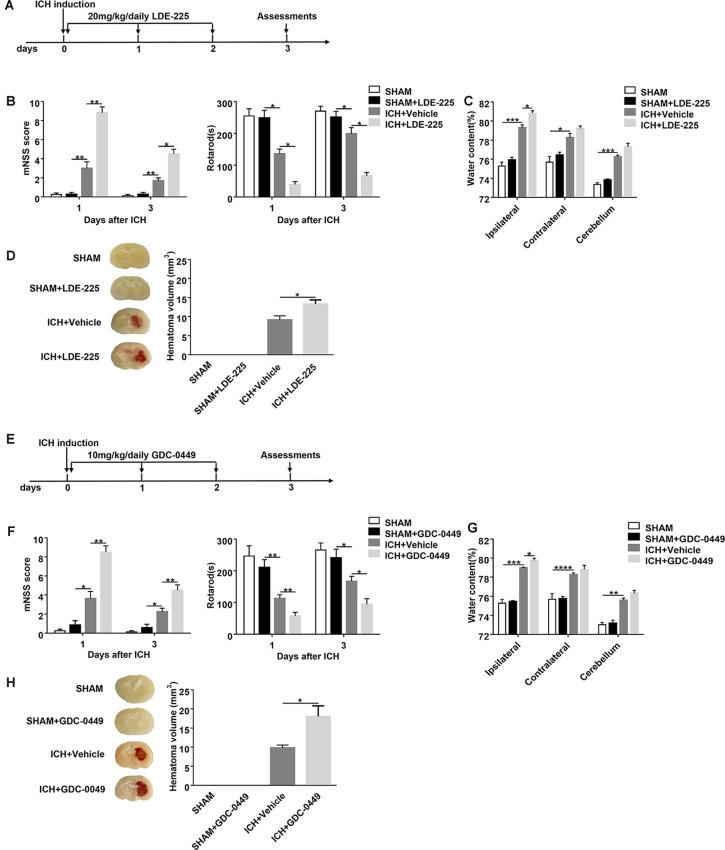 https://cdn.ncbi.nlm.nih.gov/pmc/blobs/8bf8/7747855/82e28d7fc1fa/fncel-14-575690-g0003.jpg