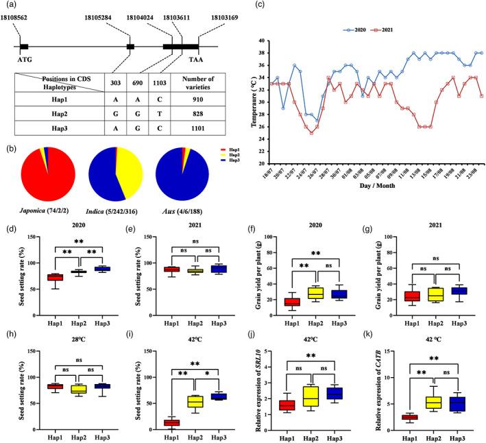 https://cdn.ncbi.nlm.nih.gov/pmc/blobs/8bf9/11376850/0329909155f1/PBI-21-819-g004.jpg