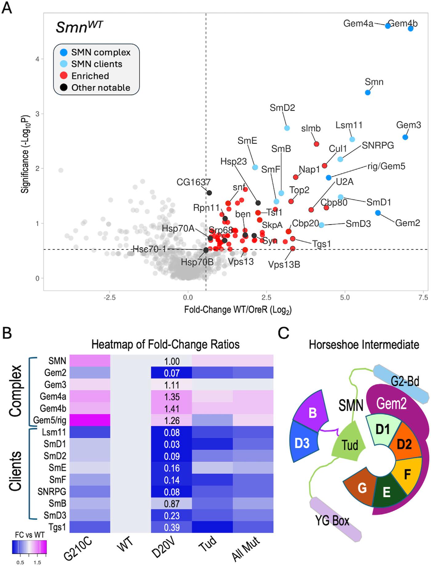https://cdn.ncbi.nlm.nih.gov/pmc/blobs/8bf9/11529804/a6fd07f69e7b/nihms-2027894-f0002.jpg