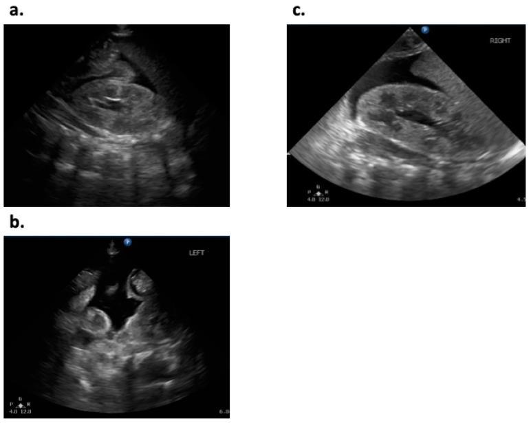 https://cdn.ncbi.nlm.nih.gov/pmc/blobs/8bfa/7908441/b1ea15666cff/ijerph-18-01187-g002.jpg
