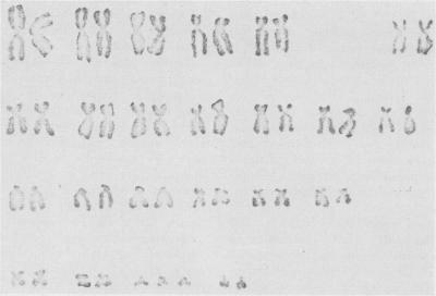 https://cdn.ncbi.nlm.nih.gov/pmc/blobs/8bfc/1253900/db7689601200/amjphnation00182-0086-b.jpg