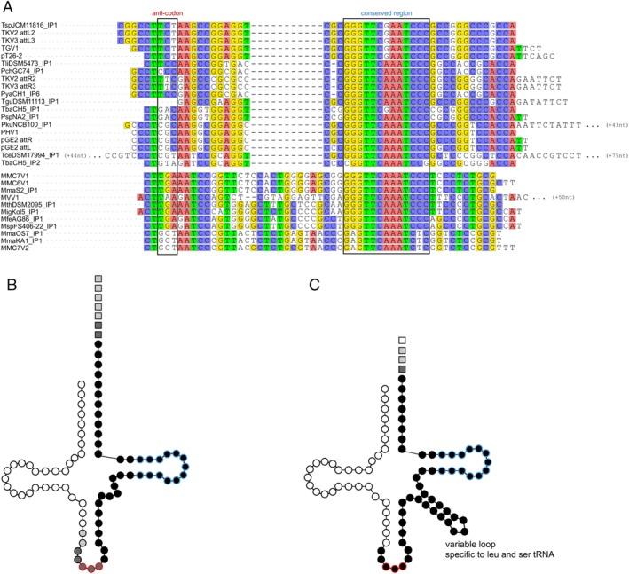 https://cdn.ncbi.nlm.nih.gov/pmc/blobs/8bff/6972569/75aa421464e7/EMI-21-4685-g006.jpg