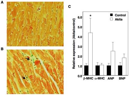 https://cdn.ncbi.nlm.nih.gov/pmc/blobs/8c01/3319540/deaebbd2226d/pone.0033942.g007.jpg