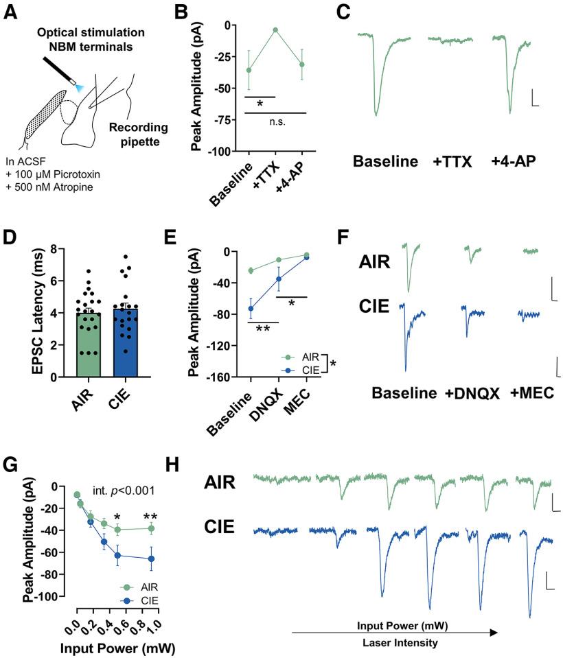 https://cdn.ncbi.nlm.nih.gov/pmc/blobs/8c04/9668348/40ca45f1aeca/ENEURO.0164-22.2022_f005.jpg