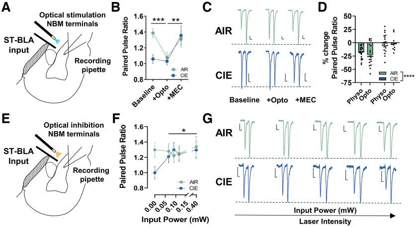 https://cdn.ncbi.nlm.nih.gov/pmc/blobs/8c04/9668348/8a77795d0aad/ENEURO.0164-22.2022_f003.jpg