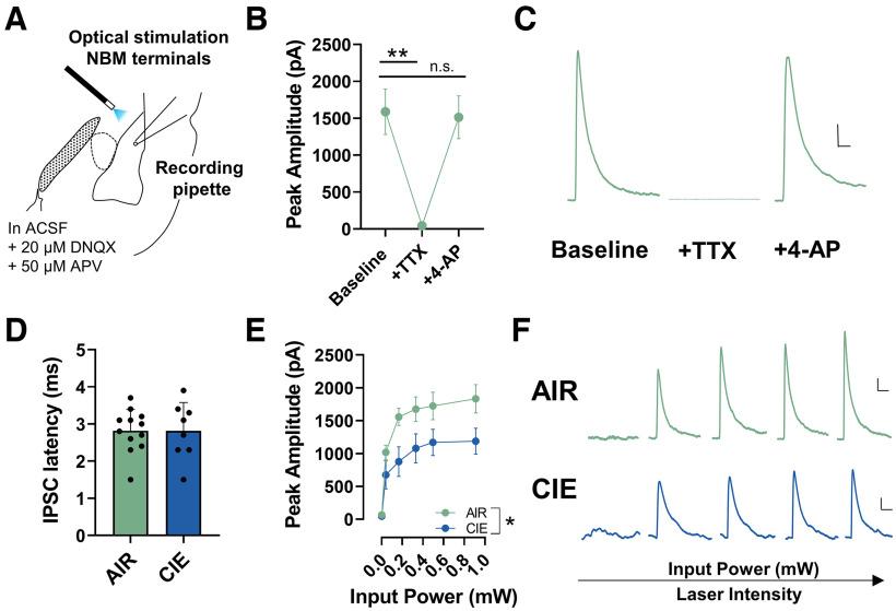 https://cdn.ncbi.nlm.nih.gov/pmc/blobs/8c04/9668348/9106d03b6861/ENEURO.0164-22.2022_f004.jpg