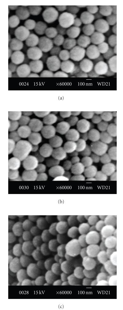 https://cdn.ncbi.nlm.nih.gov/pmc/blobs/8c05/2817865/a0155c40130b/BCA2009-901563.005.jpg