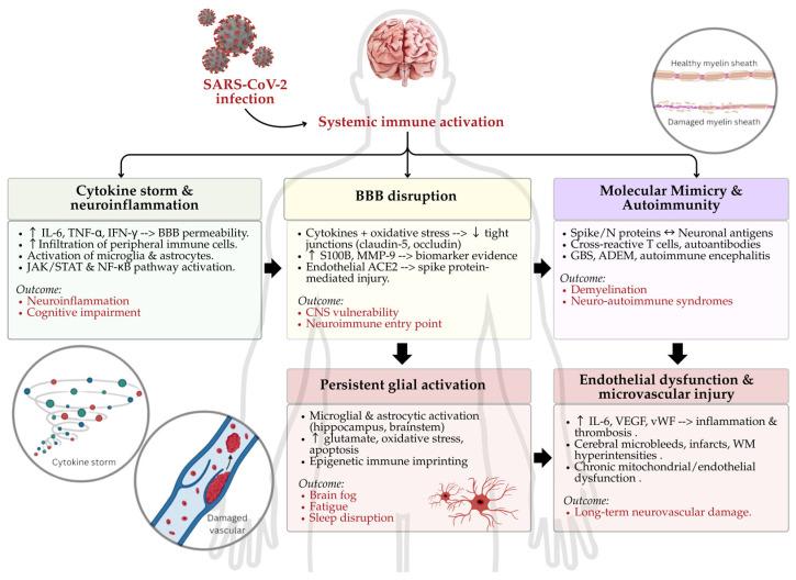 https://cdn.ncbi.nlm.nih.gov/pmc/blobs/8c06/12249592/90a1579e2173/ijms-26-06214-g001.jpg