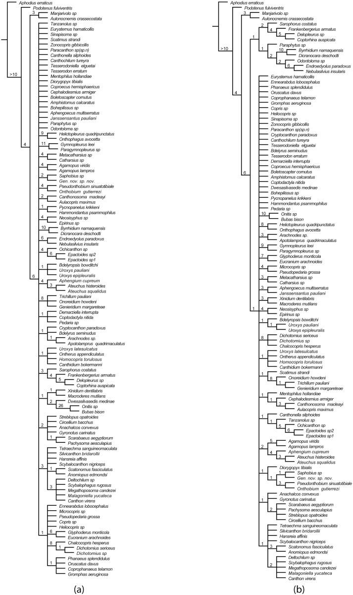 https://cdn.ncbi.nlm.nih.gov/pmc/blobs/8c06/4363793/80a791a00599/pone.0116671.g004.jpg