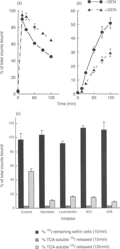 https://cdn.ncbi.nlm.nih.gov/pmc/blobs/8c07/1364330/96e1b9a780f6/immunology00041-0057-a.jpg